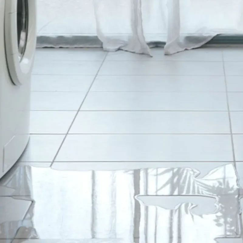 Appliance Leak Cleanup in Walnut, IL