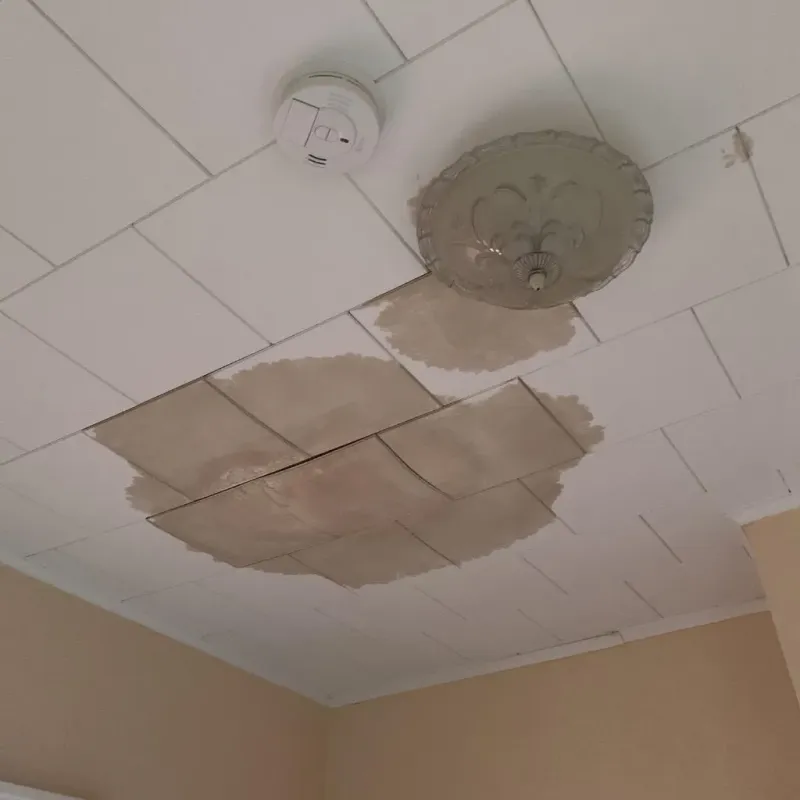 Ceiling Water Damage Repair in Walnut, IL