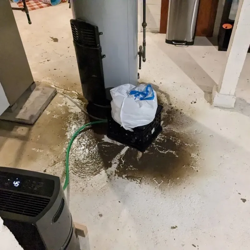 Sewage Backup Cleanup Service in Walnut, IL
